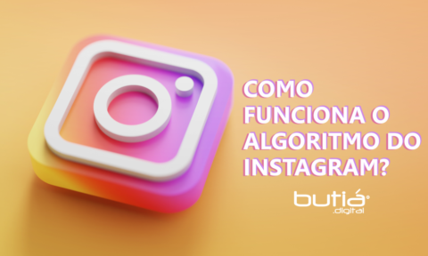 como funciona o algoritmo do INSTAGRAM BUTIÁ DIGITAL